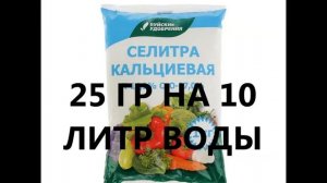 ПОДКОРМКА ОГУРЦОВ КАЛЬЦИЕВОЙ СЕЛИТРОЙ