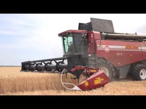 Комбайн Палессе GS16 (КЗС 1624) на полях Киквидзенского района Волгоградской области