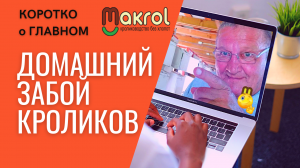 ⛔Запрет на подворовый забой кроликов. Кто запретил забивать кроликов дома. Вся правда и ложь #Макляк