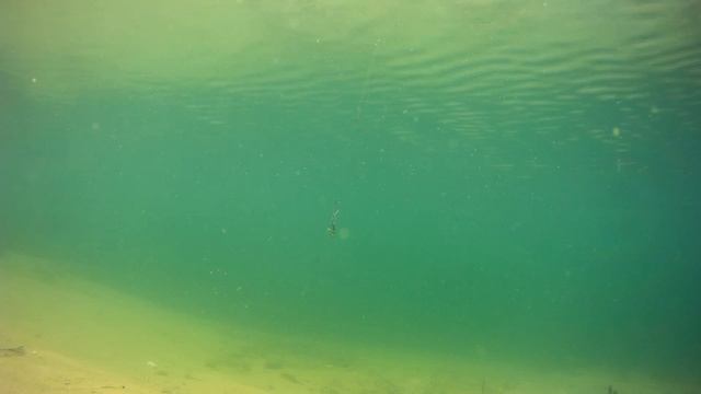 Вертушки и воблера под водой смотреть онлайн