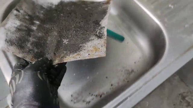 Skoda Octavia A7 2.0 TDI, чистка системи екології DPF, EGR без демонтажу смотреть онлайн