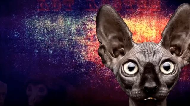 кот Костян : Невзоров и.т.д смотреть онлайн