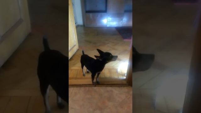 Той поет смотреть онлайн