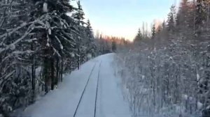 Липаковская УЖД, Архангельская область