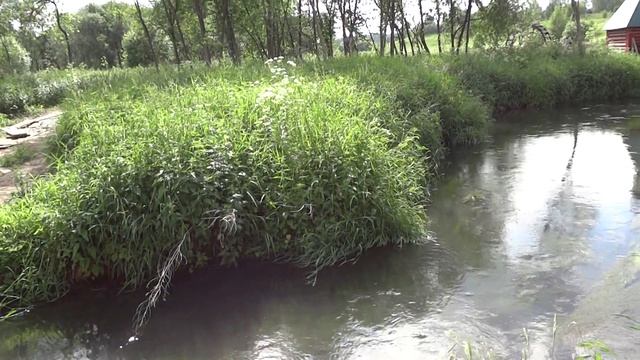 Поездка в Радонеж Купальня