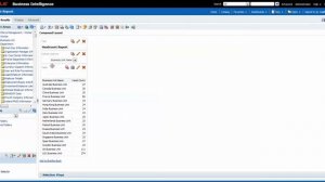 Create a column and view selector in a Fusion OTBI report