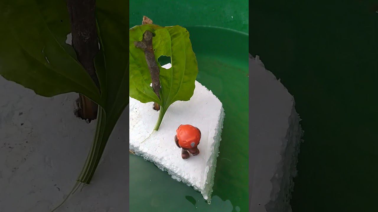 Лодочка ⛵ смотреть онлайн