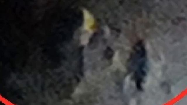 наши на Луне??? смотреть онлайн