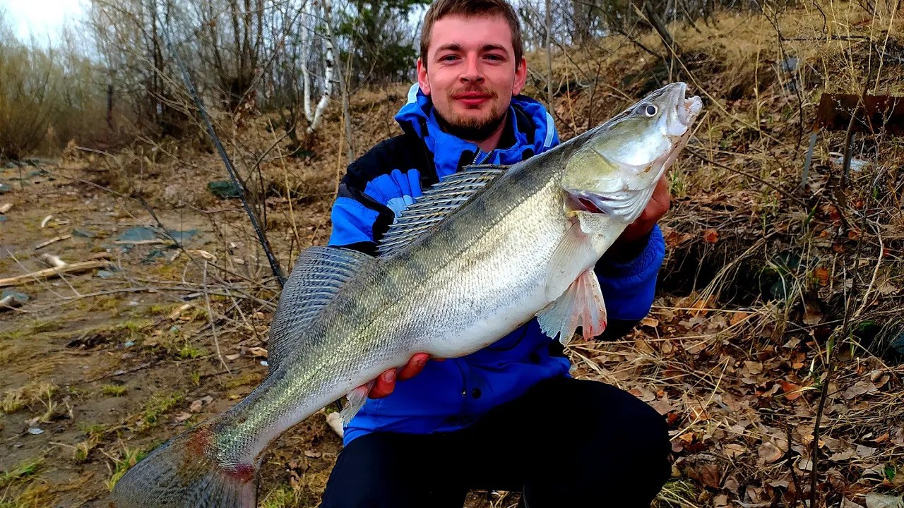 ПРЕДНЕРЕСТОВАЯ РАЗДАЧА СУДАКА НА ДЖИГ! Я побил рекорд! Вот, что мы ждали всю зиму... смотреть онлайн