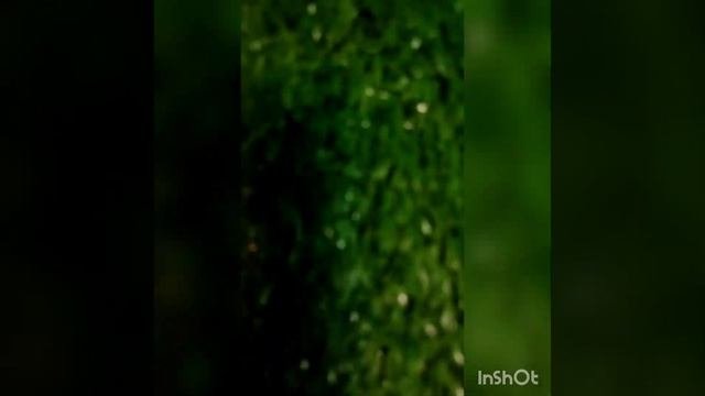 Что можно подарить девушке на день рождения? Ночник АркЛайт Новокузнецк решение!