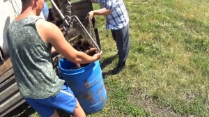 Запуск линя в Головищинский пруд в Воронежской области!