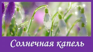Солнечная капель. Детская песенка