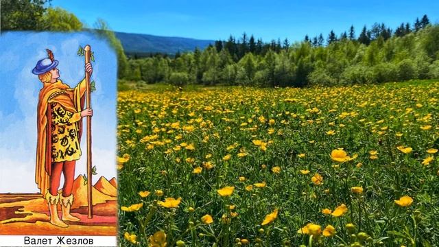 КРАЙОН-ТАРО. ПРИДВОРНЫЕ КАРТЫ. ПАЖ ЖЕЗЛОВ. Послание Крайона, Значение карты, Медитация. Карта Дня. смотреть онлайн