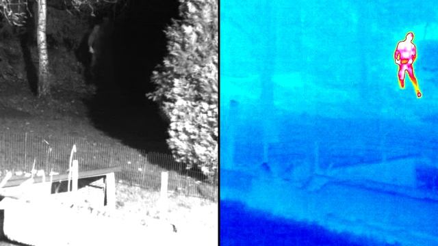 Термална камера - Нощно видеонаблюдение смотреть онлайн