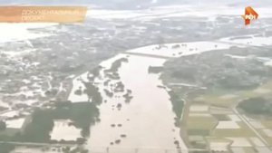 Самые шокирующие гипотезы  Русалки