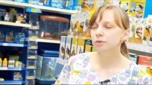 От чего нужно защищать собаку зимой