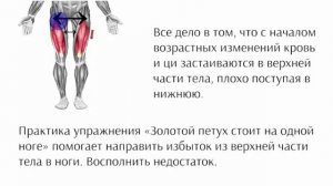 ВОССТАНОВЛЕНИЕ КРОВООБРАЩЕНИЯ в НОГАХ | ЧАСТЬ II