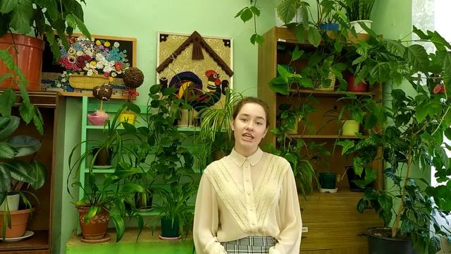 Кучерова Алина, МАОУ СОШ № 12 9 класс смотреть онлайн