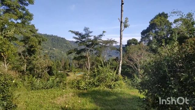 Himalayan Prioperties || land for sale at git beong 1 km from the nok dara jheel contact 9932201903 смотреть онлайн