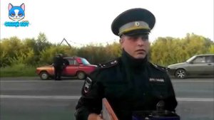 Самые ЭПИЧЕСКИЕ фразы YouTube #8 | Страшно Вырубай | Это ромашки |