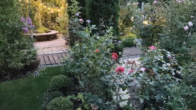 Вечерний свет, молочная сыворотка и лучшие розы для жары