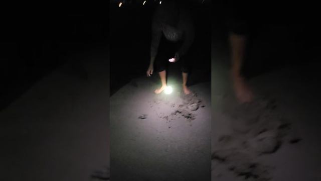 Grunion hunting:)