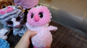 Любимые игрушки Ангелины. TY toys