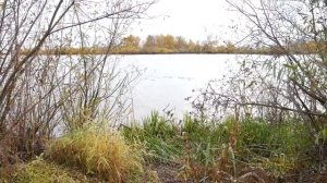 Природный парк "Усть-Бельск" на слиянии двух рек - Белая и Кама