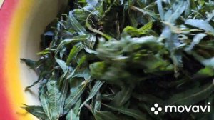 Приготовление Иван чая. Ферментация, сушка.