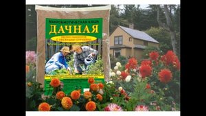 Продукция Народные рецепты здоровья