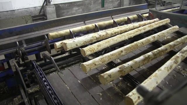 линия Soderhamn два кантера многопильный станок. смотреть онлайн