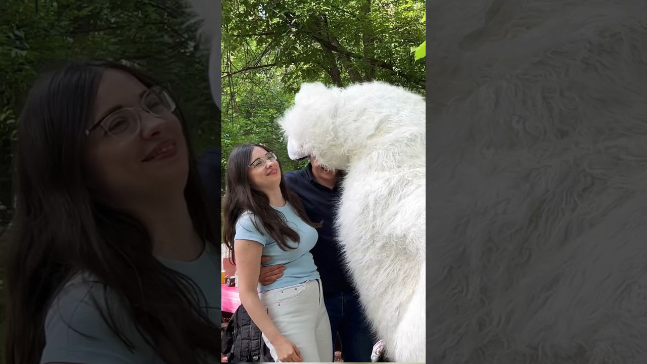 Неожиданный Сюрприз на День Рождения: Танцующий мишки в Парке смотреть онлайн