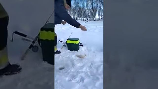 Зимняя рыбалка в Рыбацкой усадьбе «Максимизации» @ribalka_maksimiha