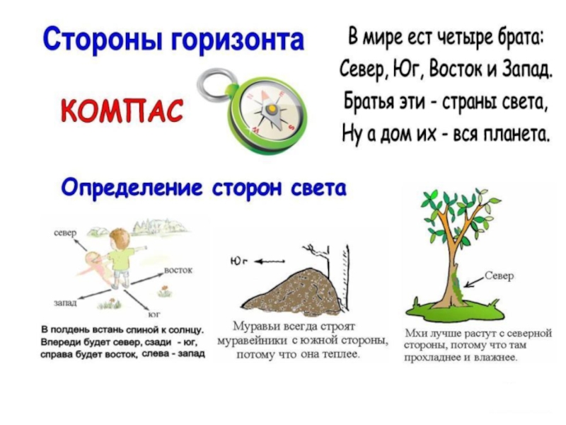 Ориентирование на местности презентация 2 класс школа россии