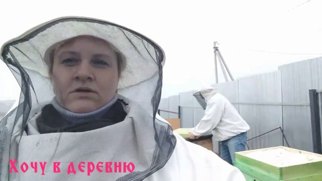 Облёт пчёл. 7 марта 2020года смотреть онлайн