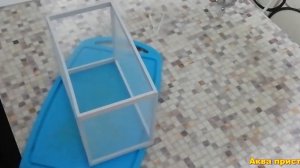 Сделал отсадник.  Нашел в аквариуме икру!!!