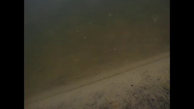 №15 Я на рыбалку-Поймал-отпусти!!! смотреть онлайн