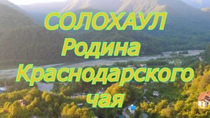 Горное село Солохаул. Чайные плантации в Сочи.