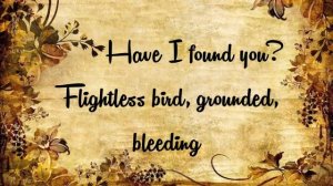 Flightless Bird, American Mouth Lyrics (HD)