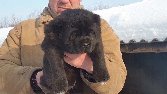 28 января 2022 г. смотреть онлайн