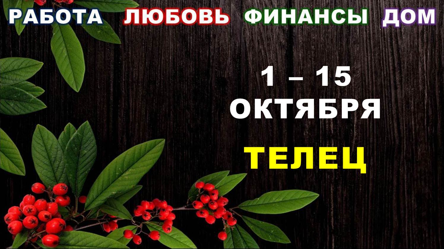 ♉ ТЕЛЕЦ. ? С 1 по 15 ОКТЯБРЯ 2023 г. ✅️ Главные сферы жизни. ? Таро-прогноз ?