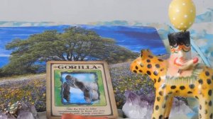 Daily Animal Spirit Guide Oracle Card Reading