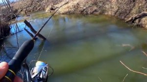 Микро-речка дала желаемое до запрета! Голавль и щука на микроджиг! Приманка на весеннего голавля!