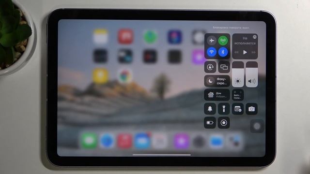 Как включить поворот экрана iPad Mini 6 2021 смотреть онлайн
