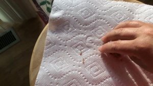 Бархатцы отпугивают вредителей садов и огородов / Как собрать семена бархатцев в домашних условиях.