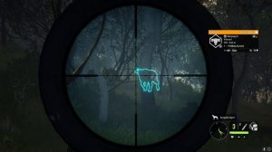 ОХОТА НА ГРЕБНИСТОГО КРОКОДИЛА🐊 В theHunter Call of the Wild - Emerald Coast Australia