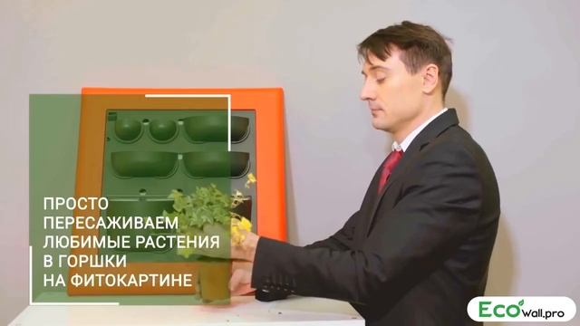 EcoWall.pro - Интернет-магазин по продаже фитомодулей и изготовлению фитокартин