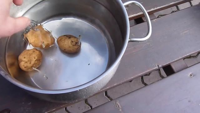 Как получить ведро картошки с куста пятой репродукции смотреть онлайн