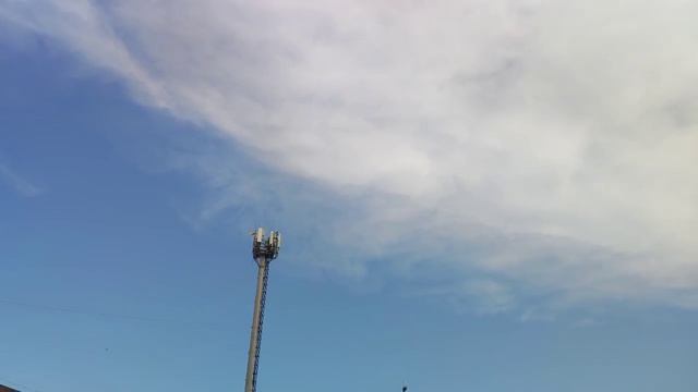 Рамзан Кадыров и Хамзат чимаев тренировка Ахмат сила Аллаху Акбар чеченский ловзар город video смотреть онлайн