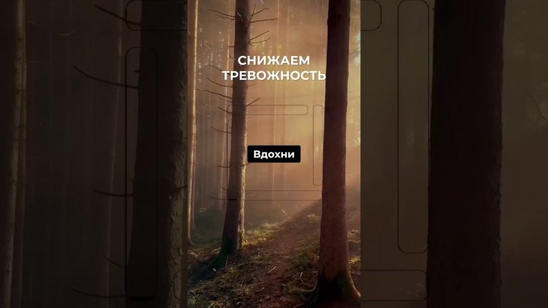 4 июля 2024 г.